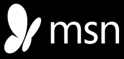 msn logo msn logo